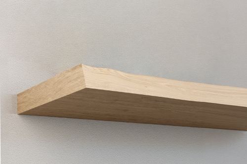 wandplanken Boomstam