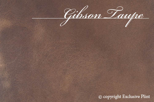 Leren wandpaneel Gibson Taupe